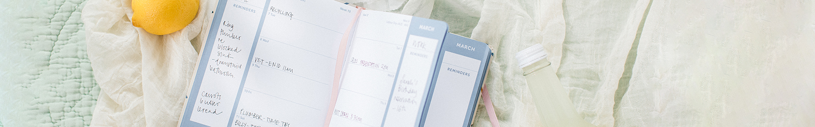 Busy Life Diaries Banner Image